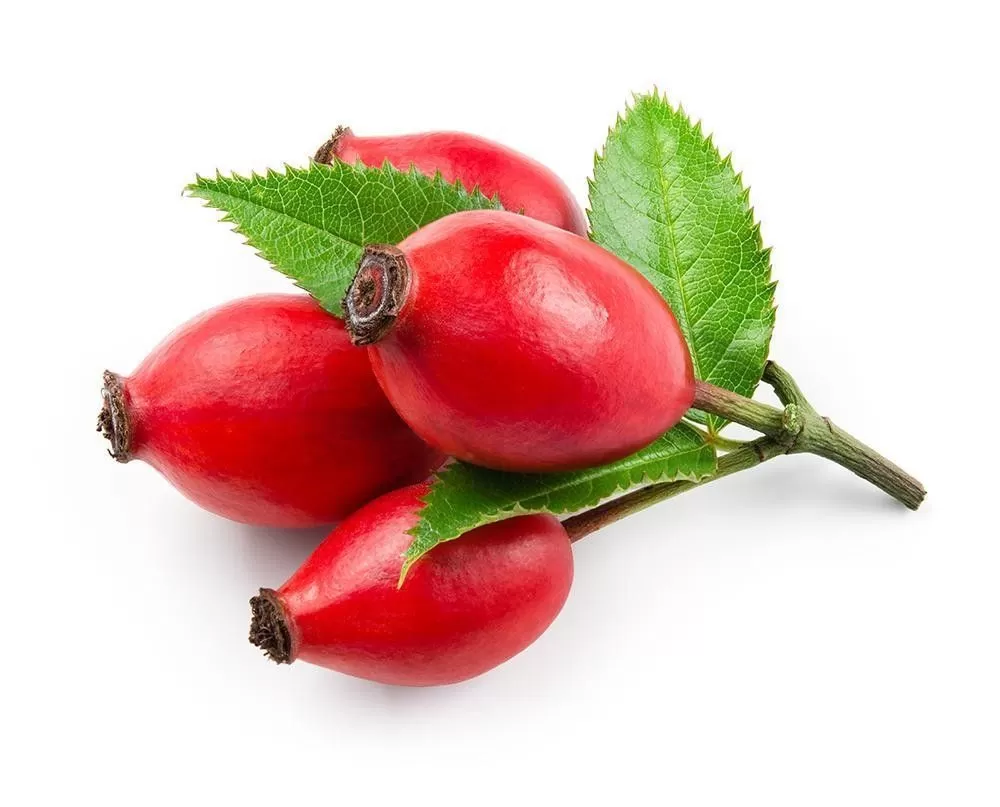 Άγριο Τριαντάφυλλο Λάδι - HerbStore - Βότανα, Φυτικά προϊόντα υγείας