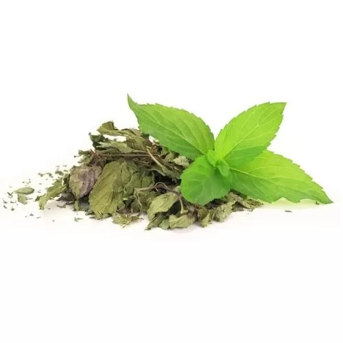 Μέντα - HerbStore - Βότανα, Φυτικά προϊόντα υγείας
